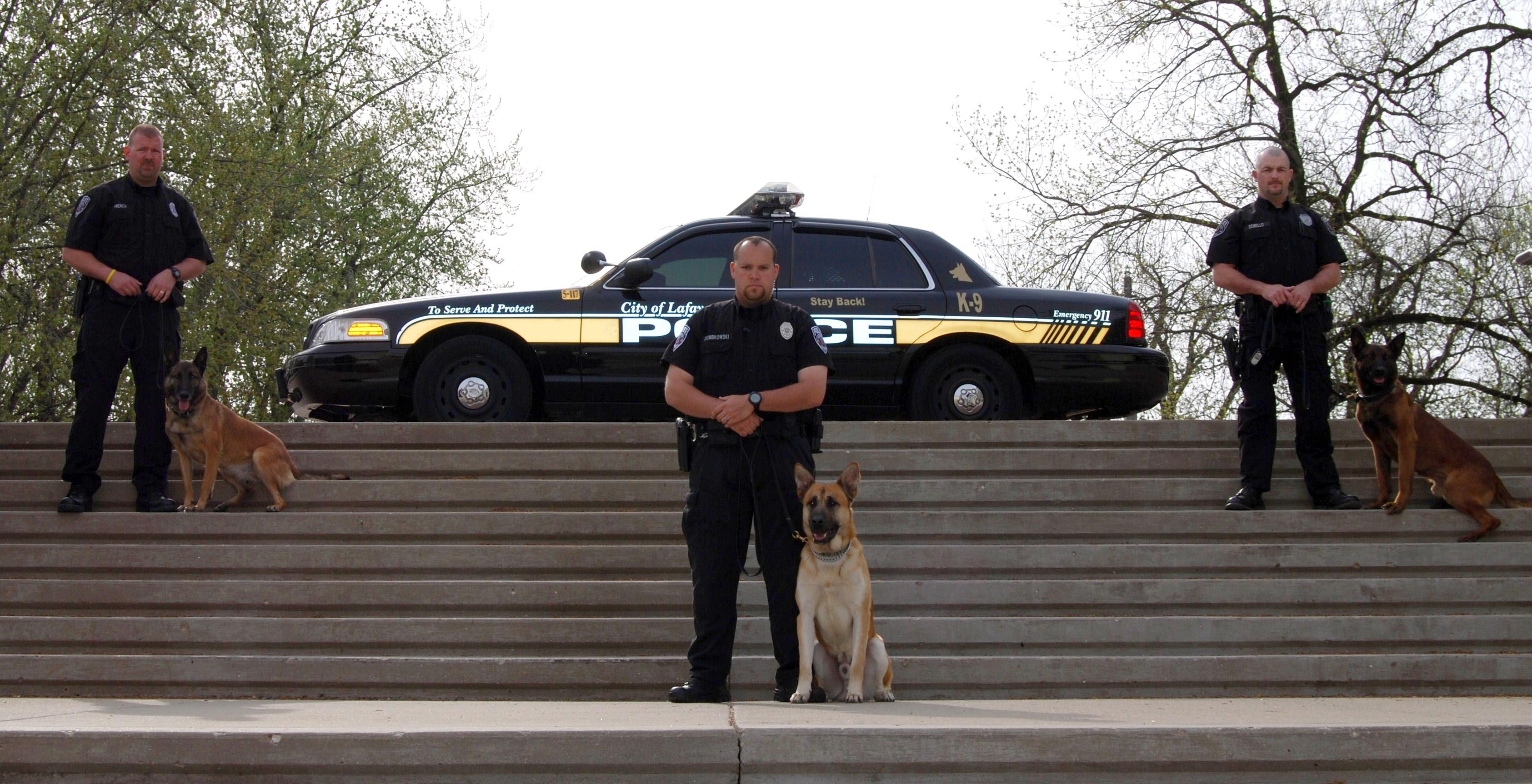 K9 Unit on Steps With a Patrol Car Behind Them
